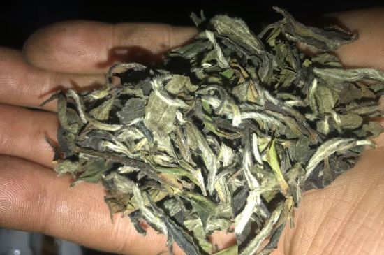 7年壽眉和2年白牡丹哪個好，老白茶壽眉與白牡丹的口感區(qū)別