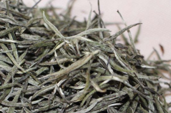 什么人不能喝白茶，白茶不宜什么人喝？