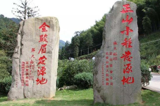 300塊錢(qián)的金駿眉能喝嗎，兩三百多金駿眉和一千多區(qū)別