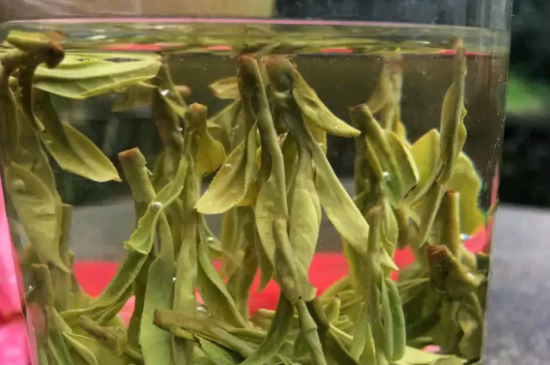 什么綠茶最香最好喝，綠茶口感與香氣排名