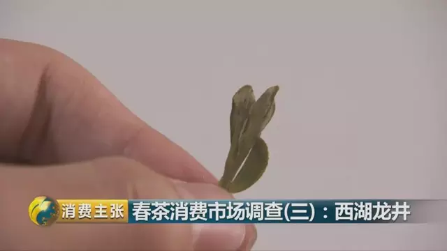 龍井群體種和43號(hào)的區(qū)別圖片，龍井43和群體種哪個(gè)好喝？