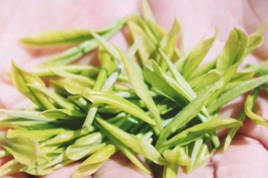 龍井是明前的好還是雨前的好，明前茶和雨前茶哪個(gè)好喝？