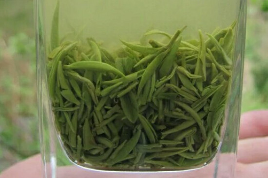 什么綠茶茶葉唇齒留香，哪個(gè)品種綠茶香氣好？