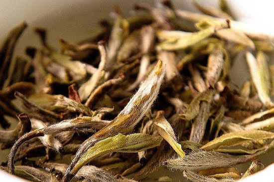 荒野銀針市場價(jià)多少，真正的荒野白毫銀針多少錢？