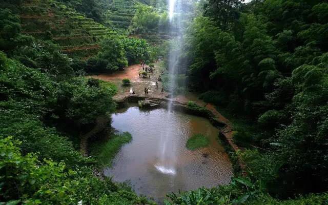 武夷山為什么盛產(chǎn)茶葉，武夷山茶為什么好喝？