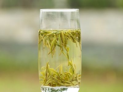 霍山黃芽算是好茶嗎，霍山黃芽屬于什么茶？