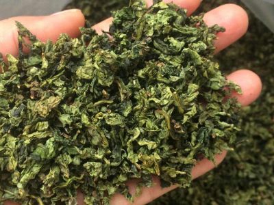 鐵觀音毛茶茶?？梢耘菟葐?，鐵觀音帶梗是不是好茶？