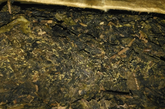 黑茶茯茶保存五大忌，茯茶收藏的注意事項(xiàng)