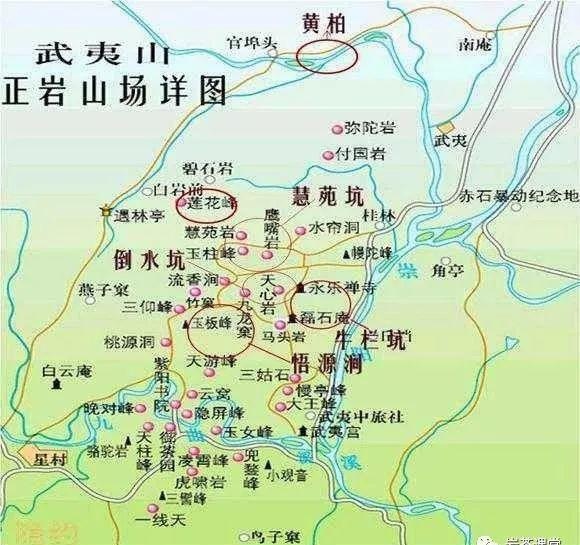 300塊錢(qián)的金駿眉能喝嗎，兩三百多金駿眉和一千多區(qū)別