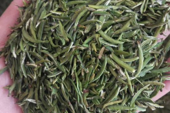 金壇雀舌算不算好茶，金壇雀舌屬于什么檔次茶葉？
