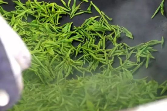 碧螺春為什么泡水渾濁，碧螺春茶葉泡水感覺很臟是混濁的