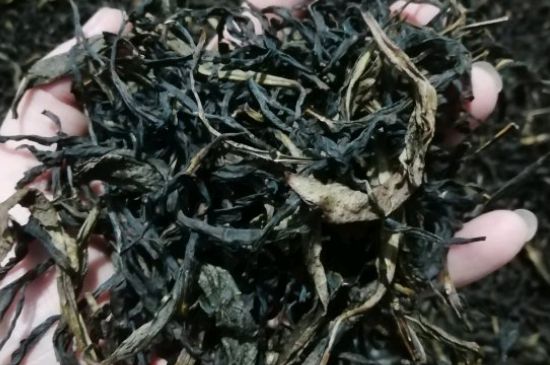 蜜蘭香好還是鴨屎香好，鳳凰單叢茶蜜蘭香和鴨屎香特點有哪些？