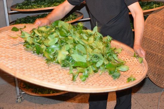 鐵觀(guān)音加香精騙局，鐵觀(guān)音的香味是添加香精了嗎？