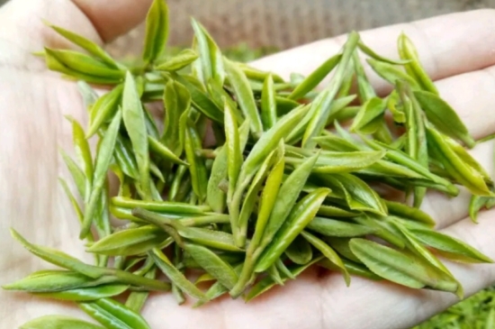 什么是雪前龍井茶，明前、雨前、雨后龍井有什么區(qū)別？