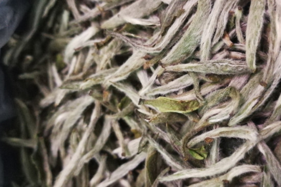 白毫銀針年份越久越好嗎，銀針白毫是否越陳越好