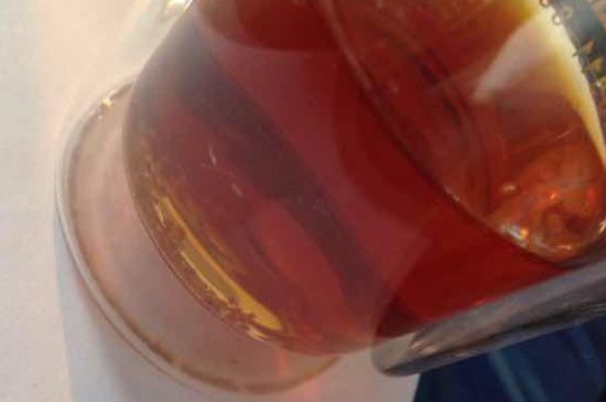 金駿眉有幾個品種分哪幾個級別？按茶樹劃分5個等級！